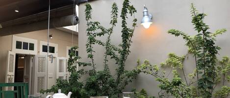 A breakfast table with various dishes, a teapot, and glasses, set in a room with a high ceiling and hanging plants.
