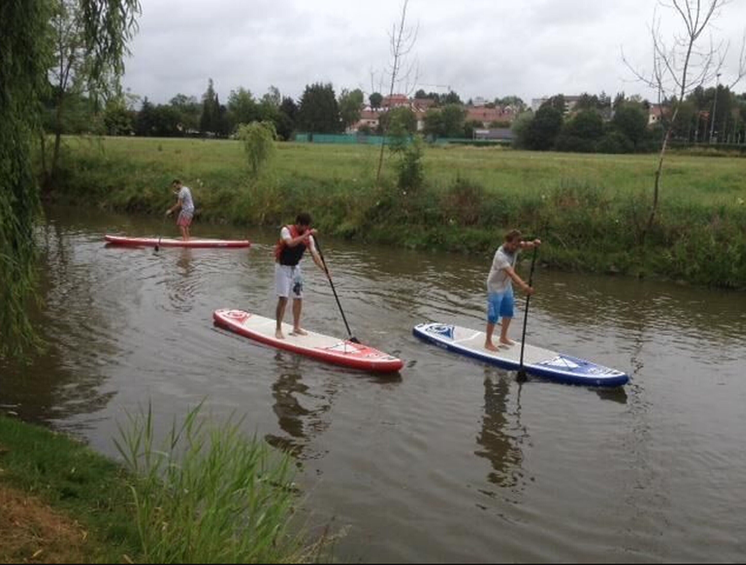 Tres tablas de paddleboard en un río tranquilo, con vegetación y edificios al fondo.