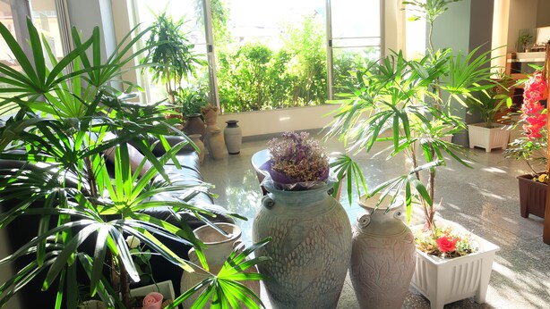 A room with large windows, potted plants, and a tiled floor. - Grand Living Place (Bangkok)