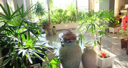 Grand Living Place