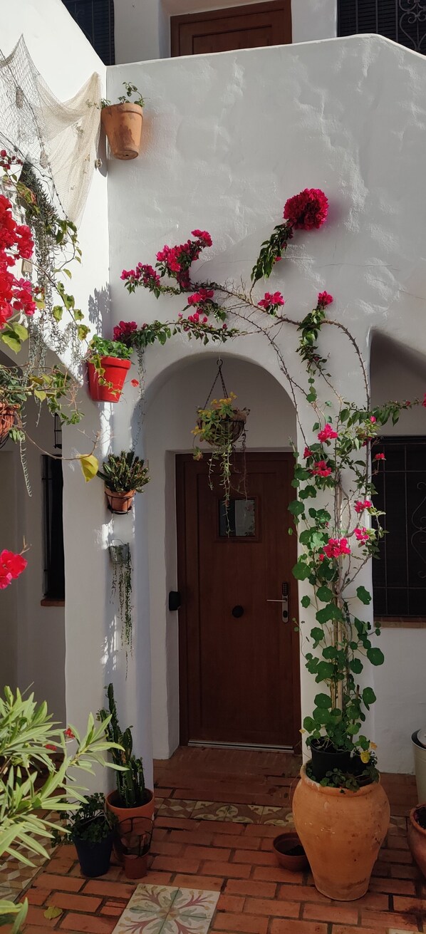 A courtyard with a white wall, a wooden door, and various potted plants and flowers. - La Jabega by Conil Home (Conil de la Frontera)