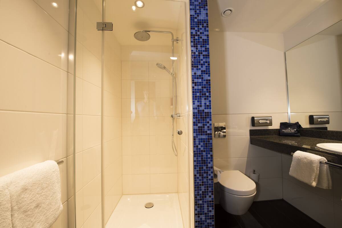 shower, free toiletries, hair dryer, towels