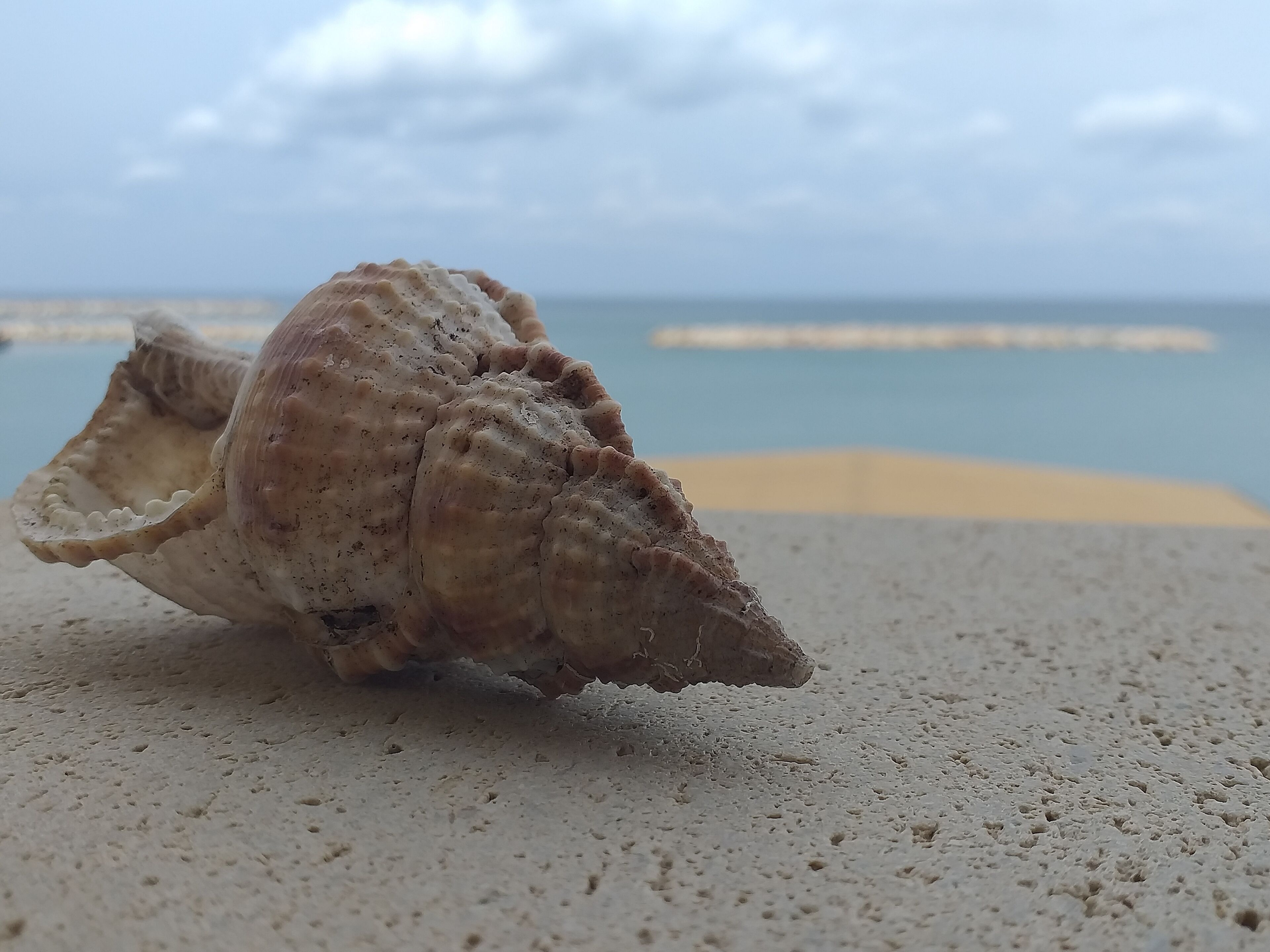 Foto - Xristinas Seaside Apartments