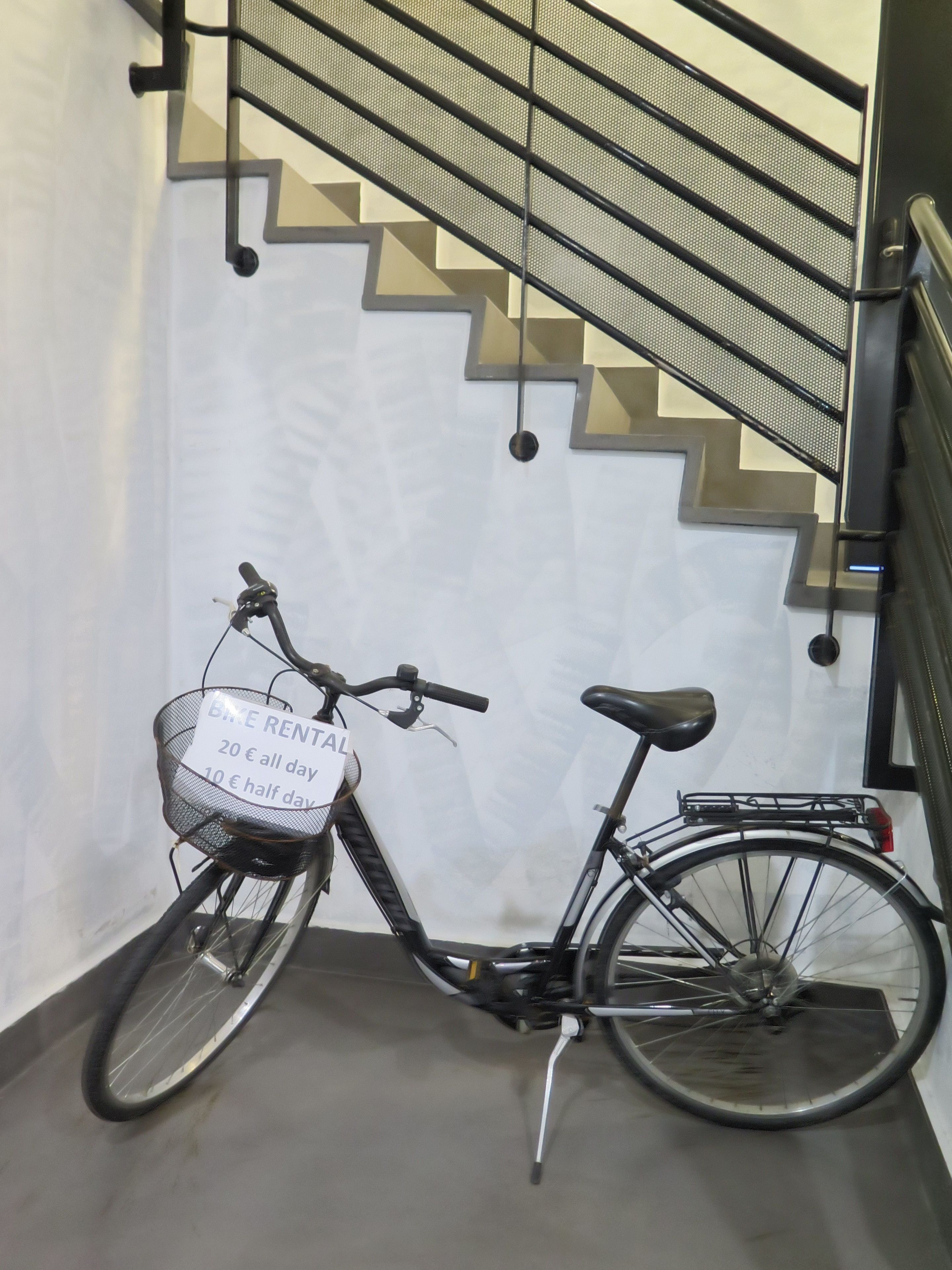 Foto - Cats Hostel San Sebastian