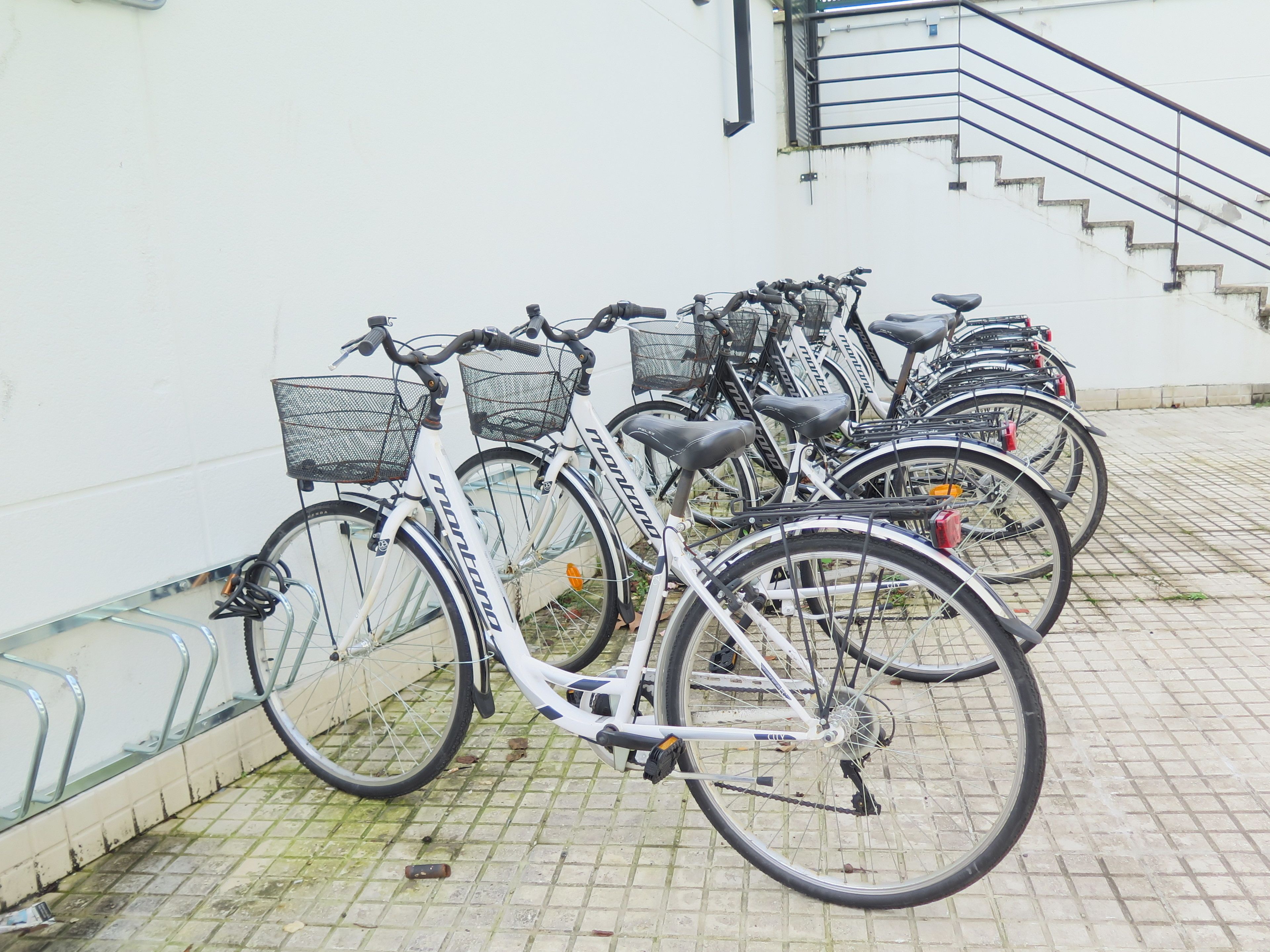 Foto - Cats Hostel San Sebastian