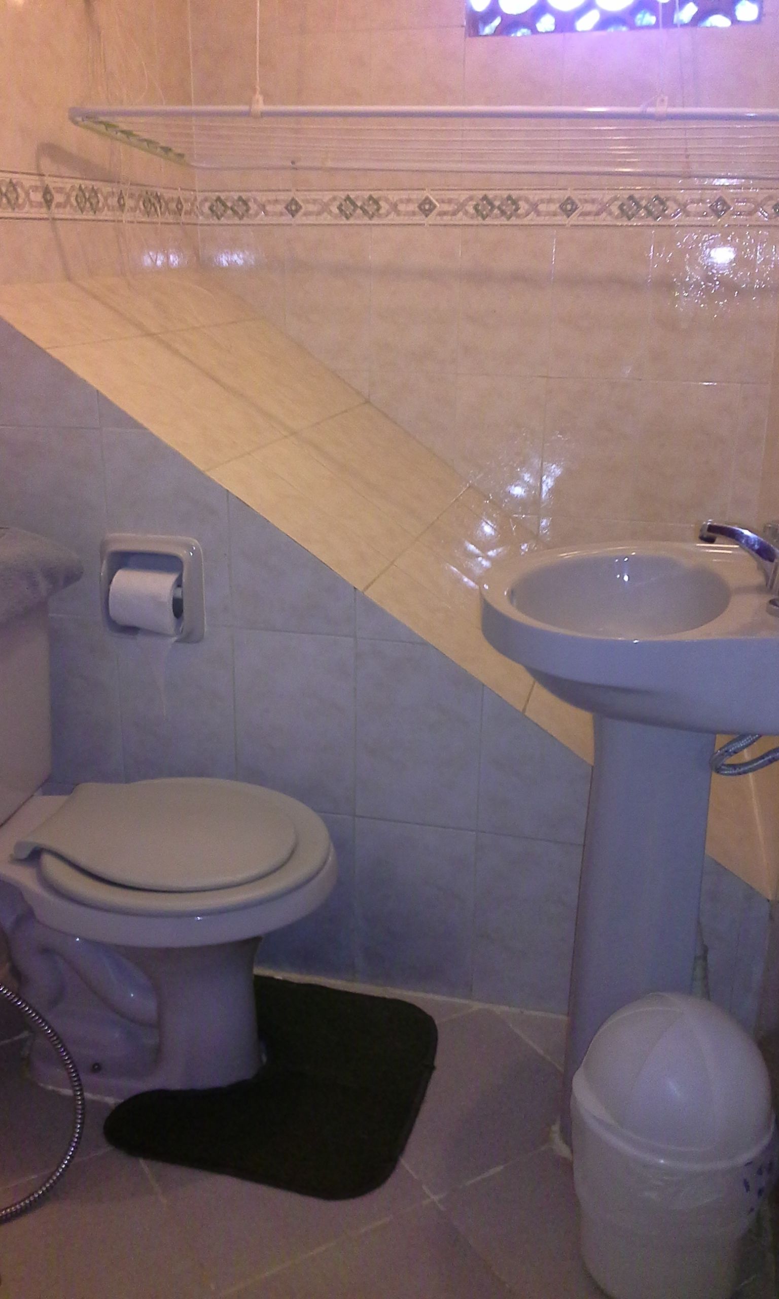 A bathroom with a toilet, sink, and a small trash bin.