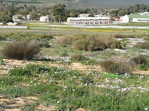 Un paisaje rural con un edificio grande al fondo, rodeado de follaje y flores blancas.