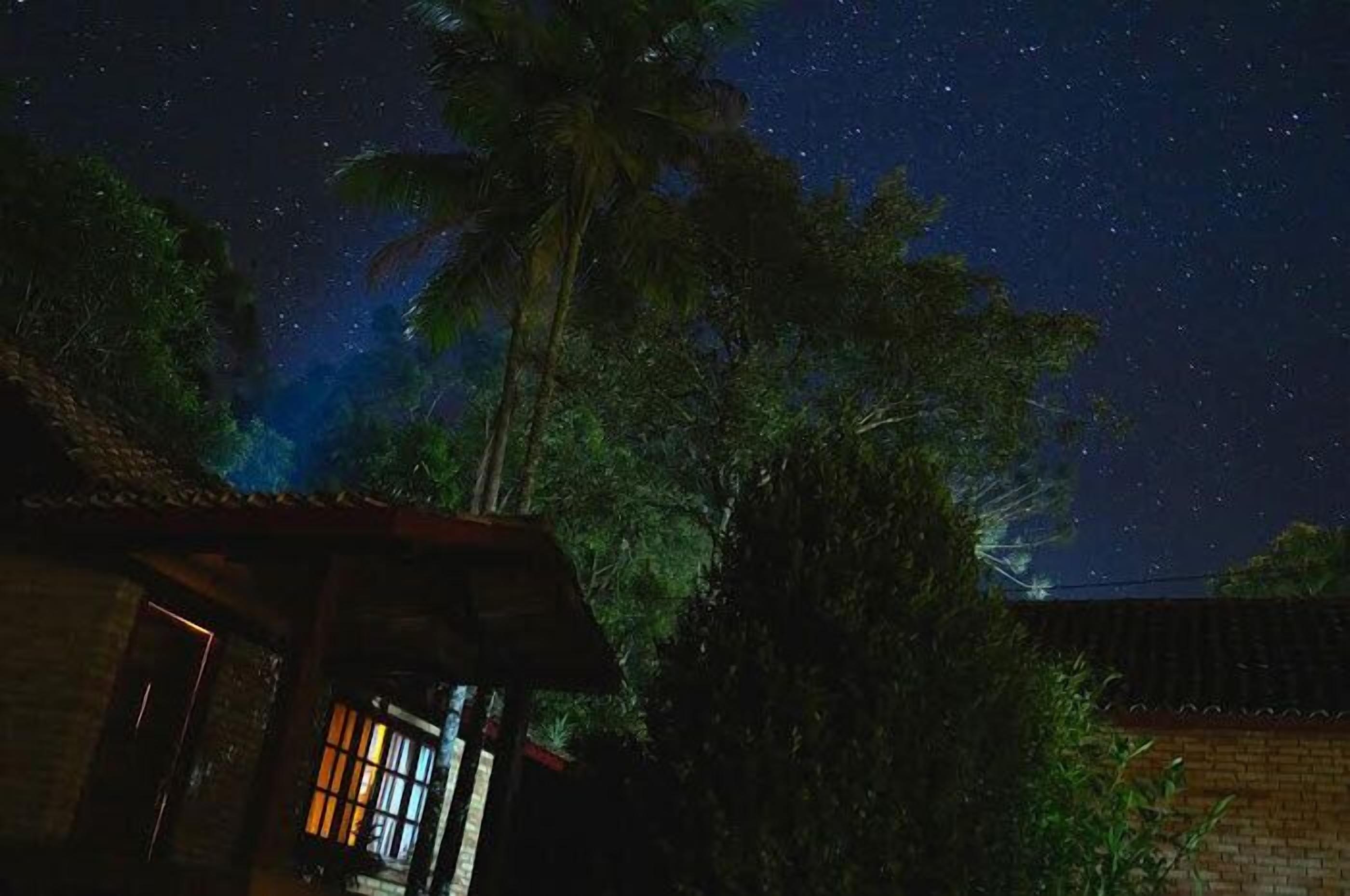 住宿正面 (夜晚)