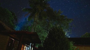 Una escena nocturna con cielo estrellado, una palmera y un edificio con una ventana iluminada.