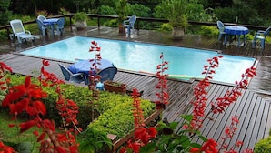 Una piscina rectangular con un deck de madera, rodeada de plantas en macetas y mobiliario de exterior.