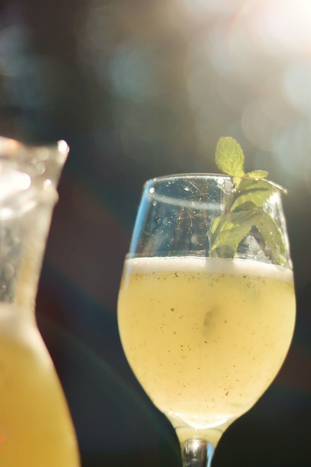 Foto - Alquimista Montevideo