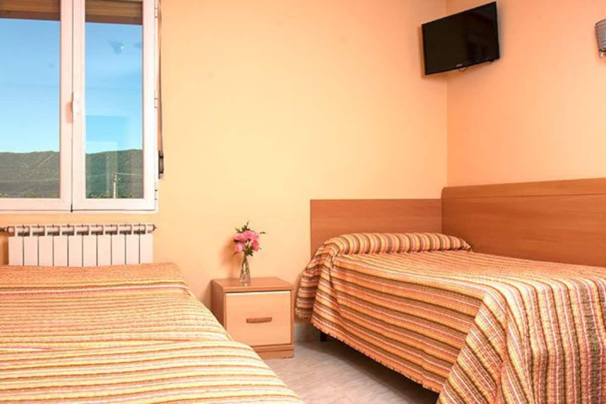 Habitación con dos camas, ventana, radiador, mesita de noche y televisor.
