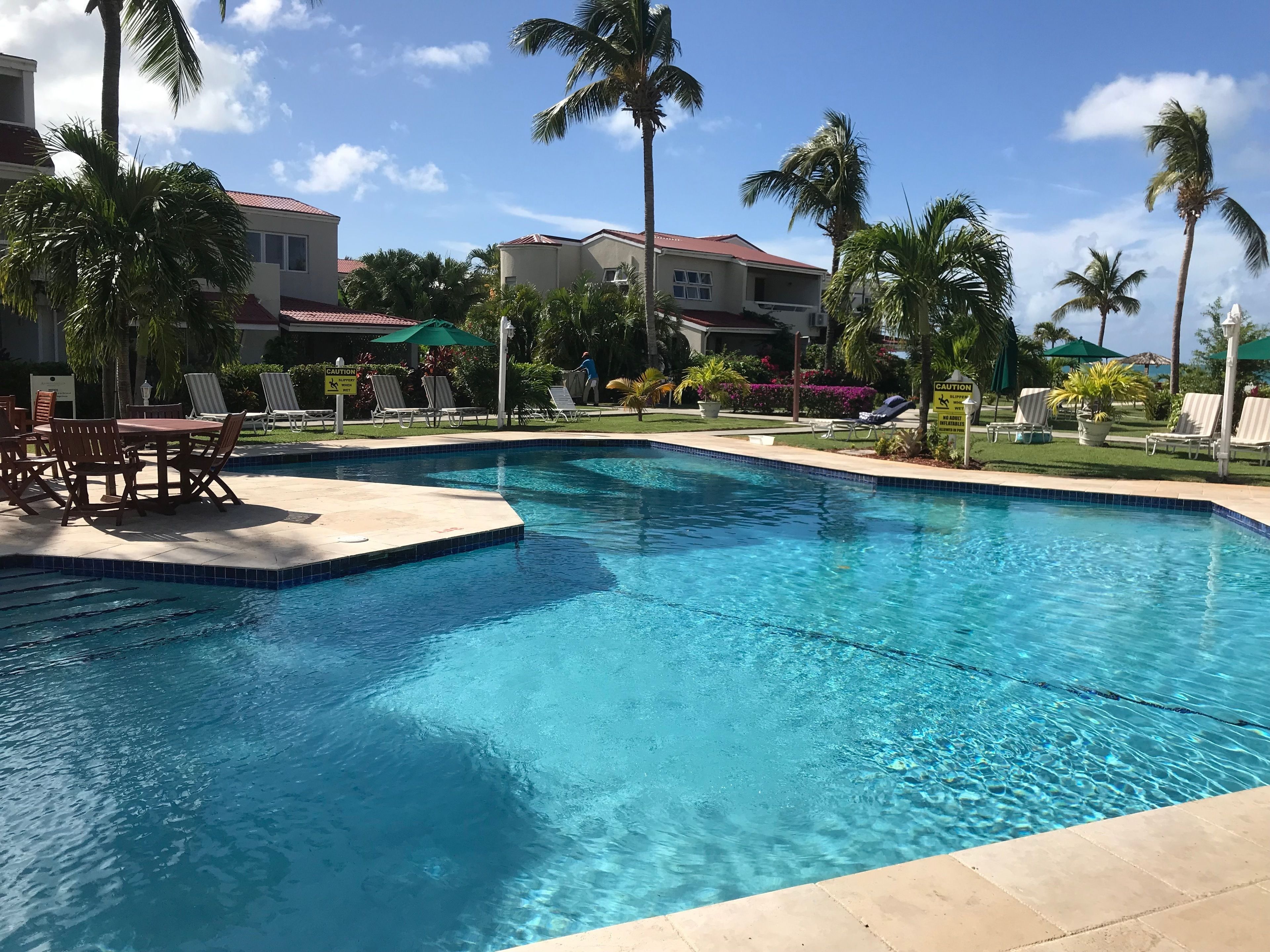 室外游泳池，提供日光浴躺椅