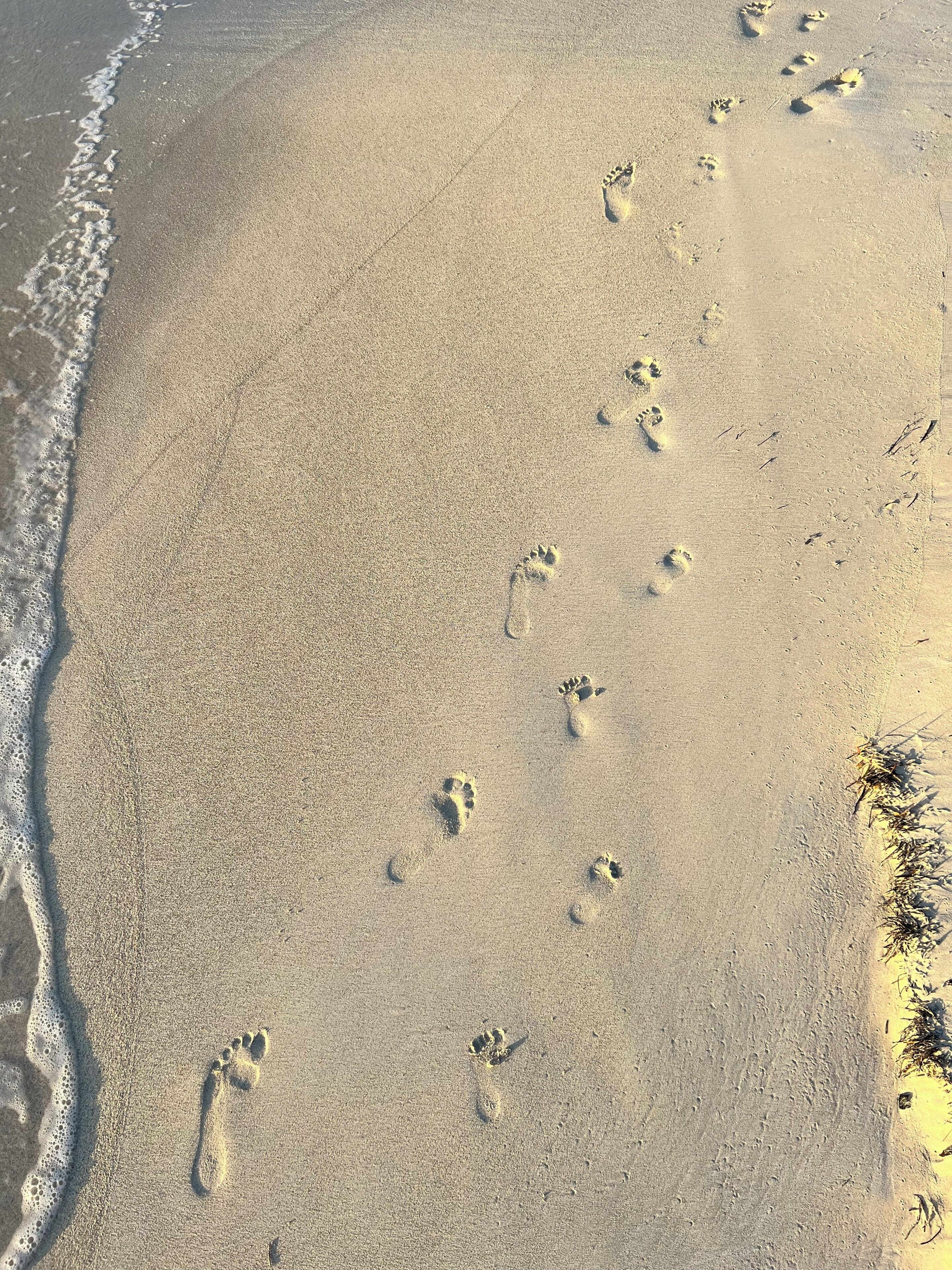 A sandy beach with footprints leading towards the water.