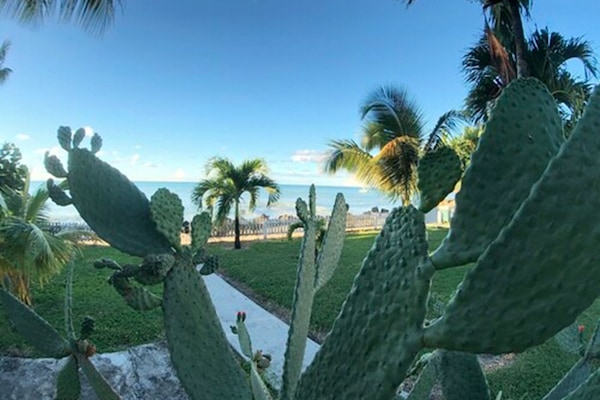 Jardín