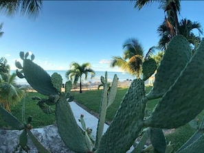 Jardín