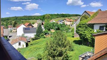 Classic Double Room, 1 King Bed, Non Smoking, Balcony | View from room