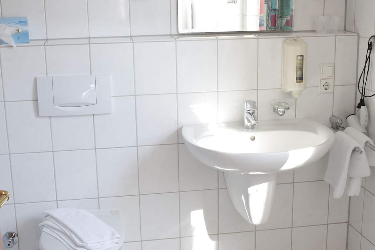 basic double room | bathroom | shower, towels