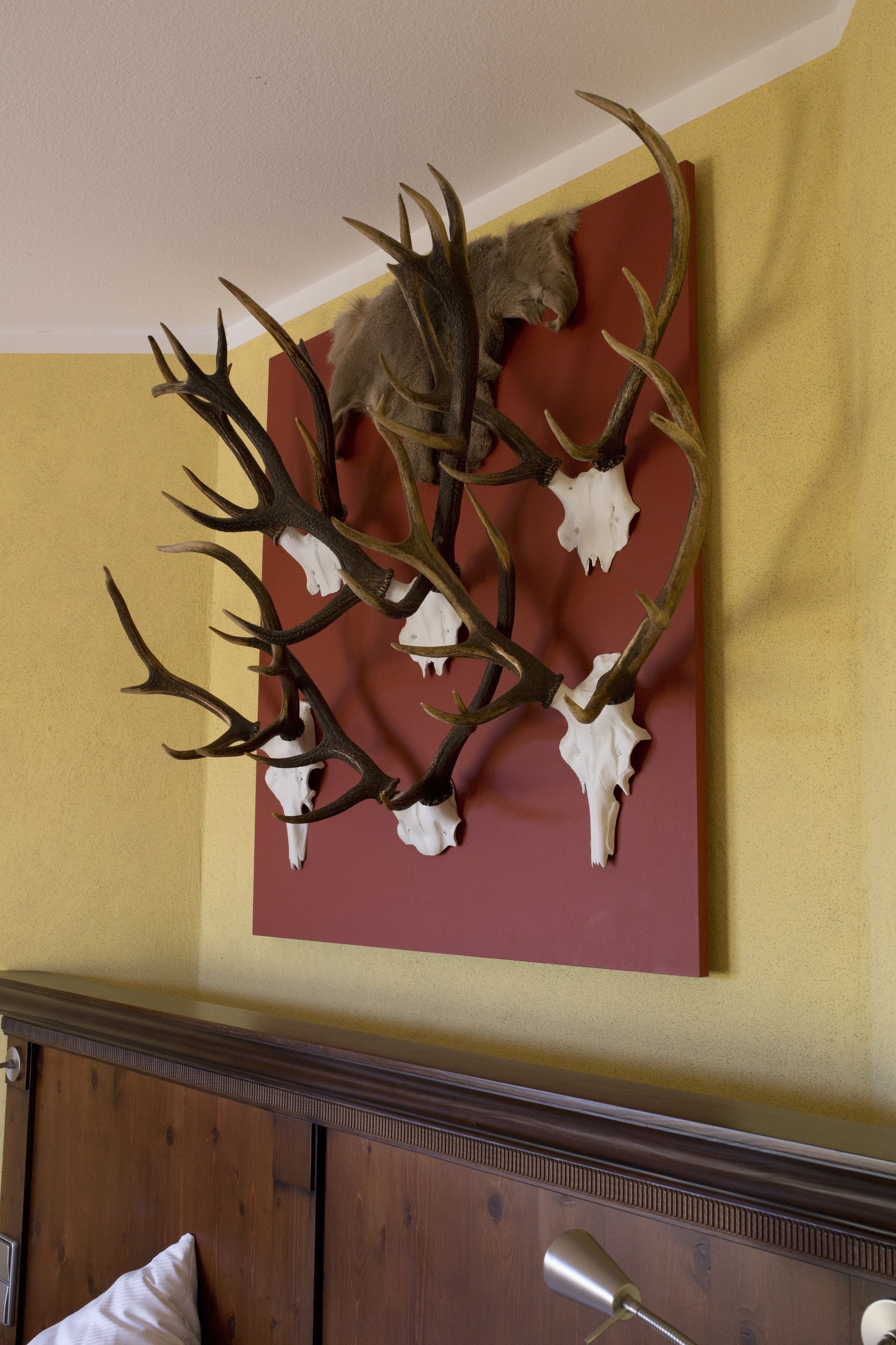 Decoració de resclosa i crani de cervís penjada a la paret sobre un llit amb capçalera de fusta.