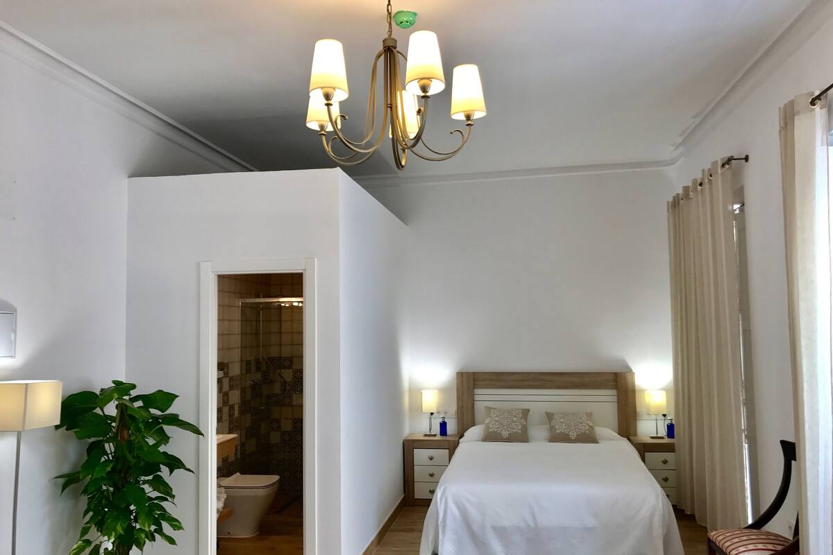 A hotel room with a bed, bedside tables, a chandelier, a potted plant, a shower, and a view of the outside.