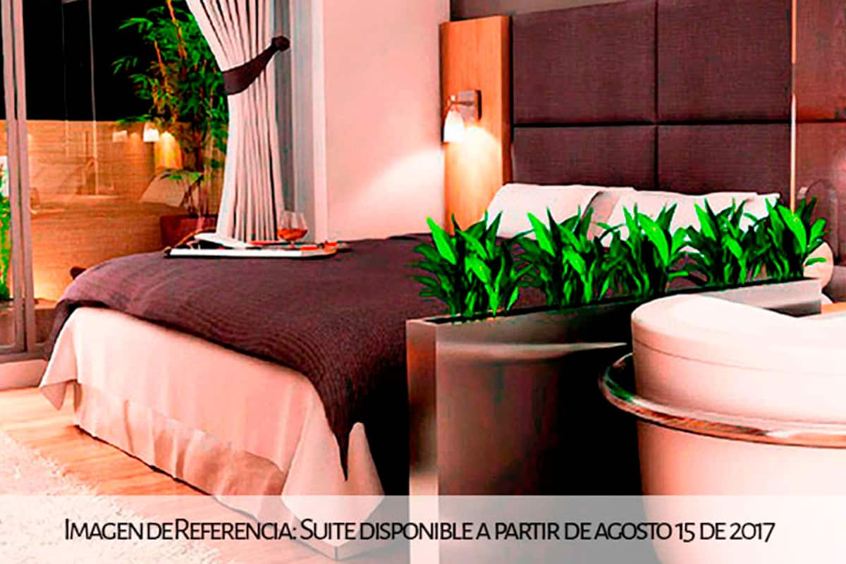 Suíte superior, terraço | Frigobar, escrivaninha, ferros/tábuas de passar roupa, Wi-Fi de cortesia