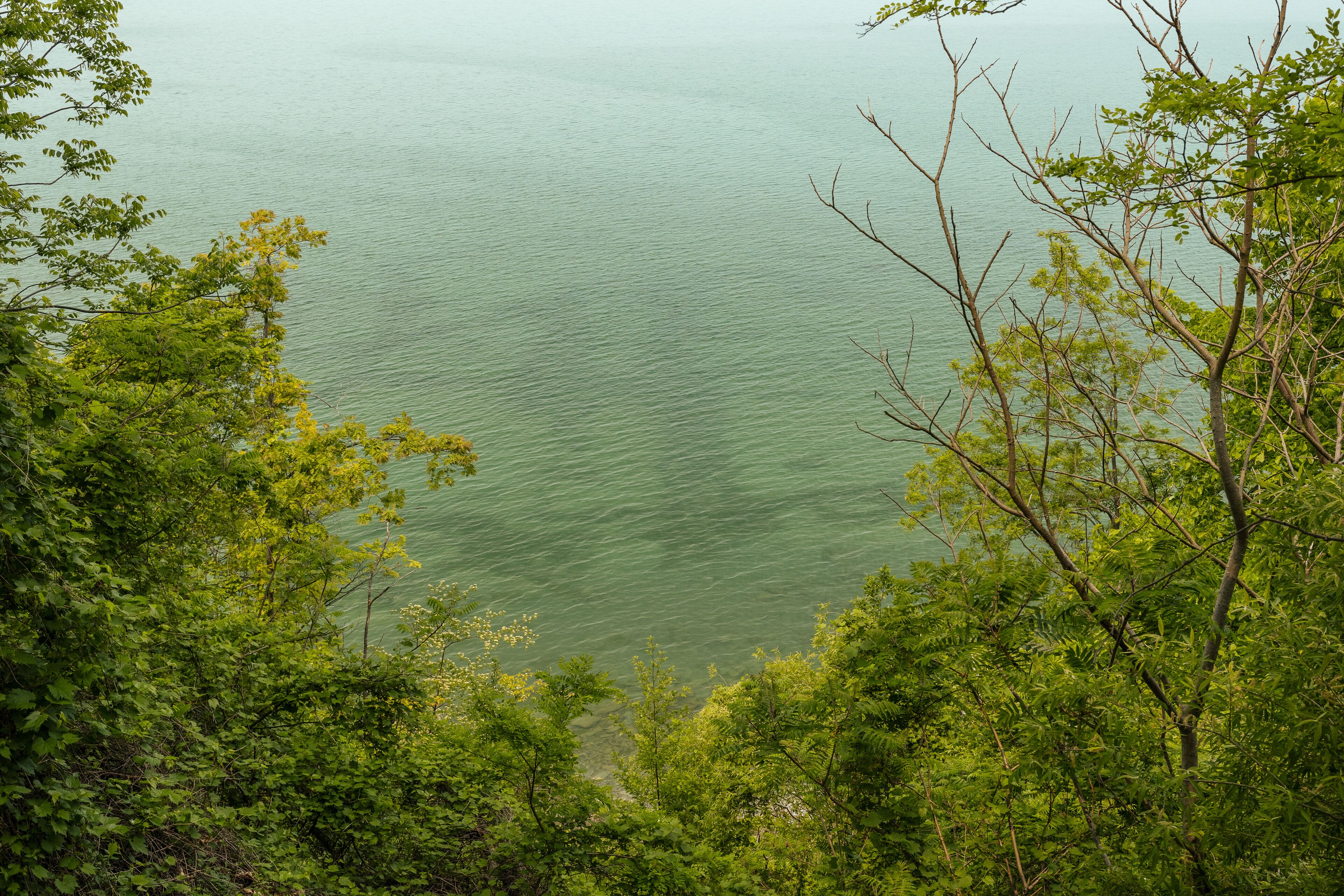 Ein See, umgeben von dichtem Grün.