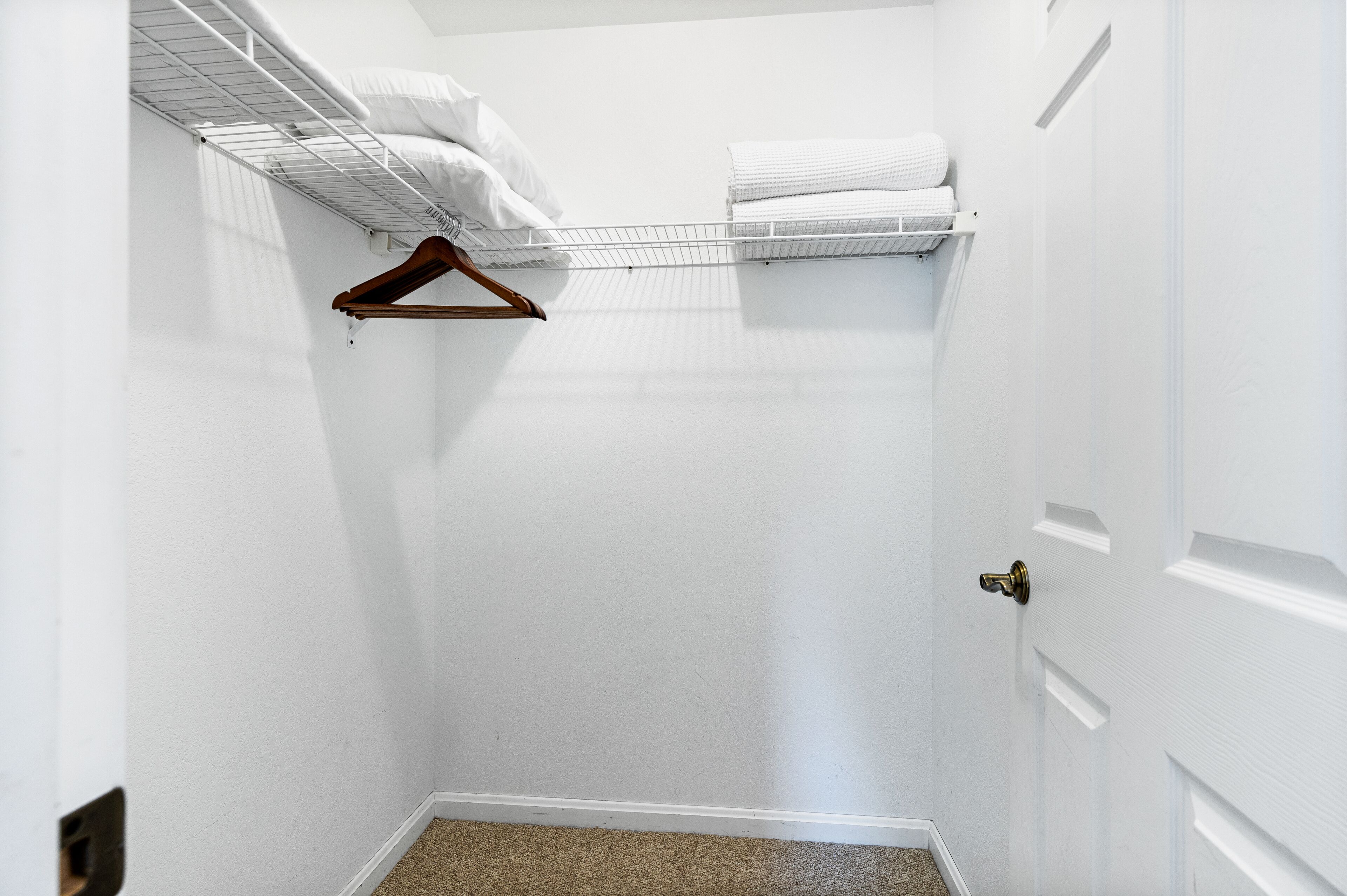 A walk-in closet with a hanging rack, a door, and a carpeted floor.