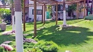 A garden with a pergola, palm trees, and a well-maintained lawn.