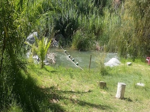Property grounds