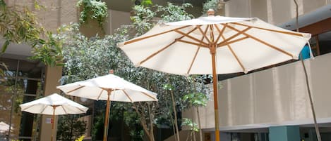 Phục vụ bữa sáng, bữa trưa, bữa tối, món ăn Mexico