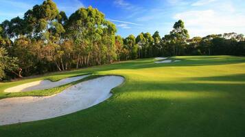 A golf course with sand bunkers, well-maintained grass, and tall trees in the background.