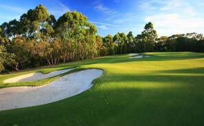 A golf course with sand bunkers, well-maintained grass, and tall trees in the background. - Executive Inn & Suites (Longview)