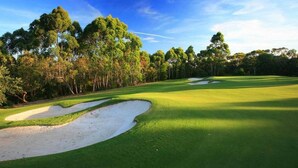 Un parcours de golf doté de bunkers de sable, d’une pelouse bien entretenue et de grands arbres en arrière-plan.