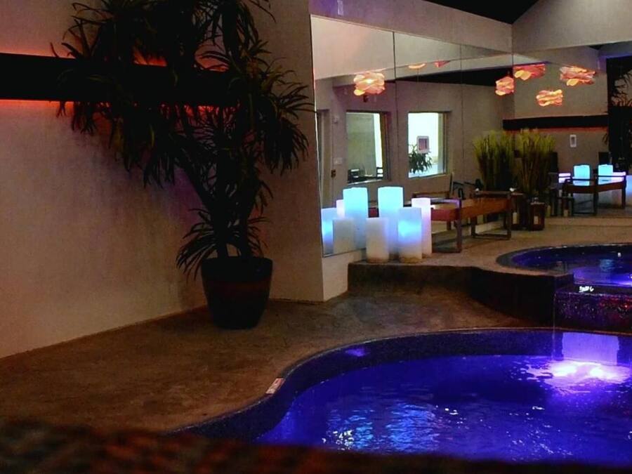A spa area with a large potted plant, a reception desk, and a pool with illuminated edges.