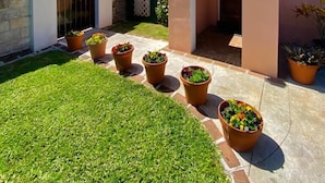 Une maison moderne avec une pelouse bien entretenue et des plantes en pot.