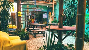 An indoor courtyard with wooden tables and benches, surrounded by lush green plants and a bamboo structure. - Buddy's Hostel e Pousada (Itacaré)