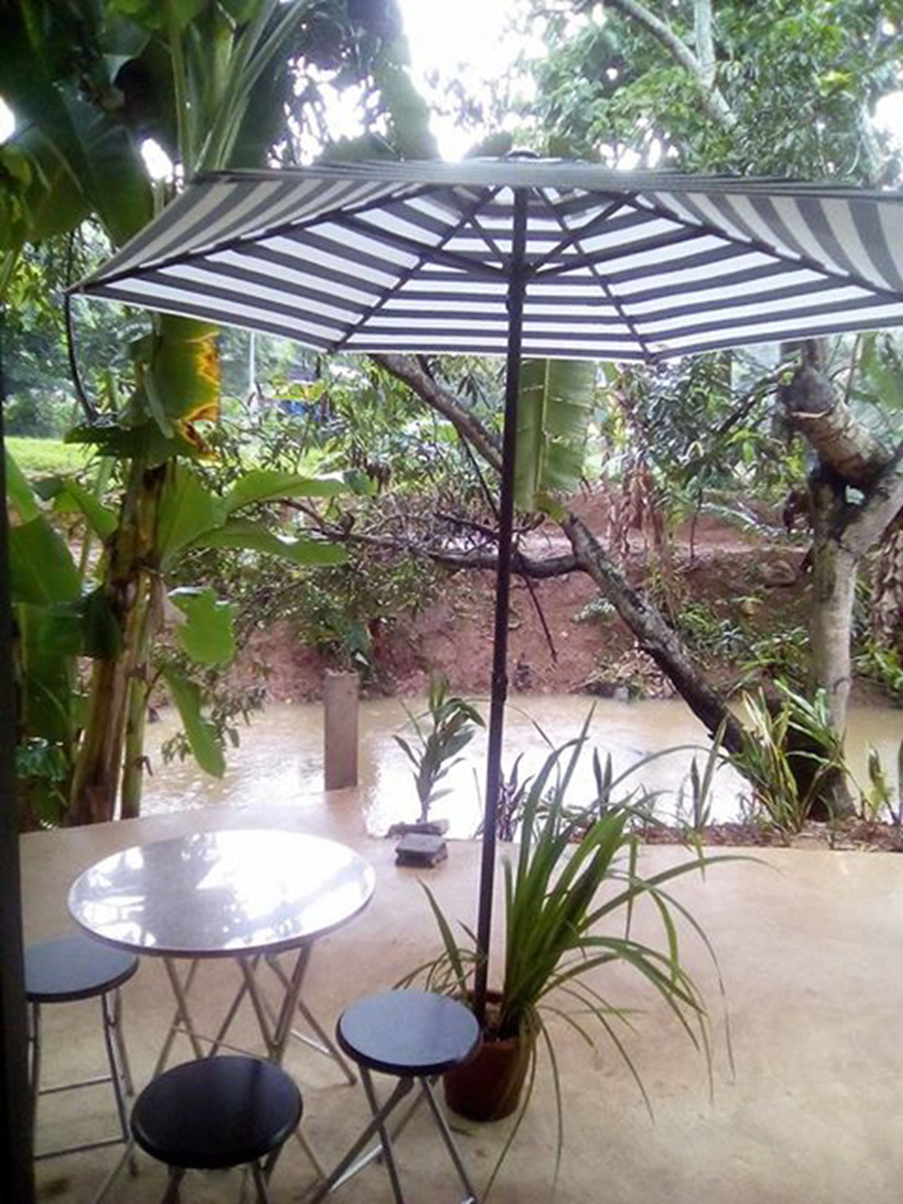 Un patio con una mesa y sillas, un paraguas a rayas y vista a un cuerpo de agua con vegetación.