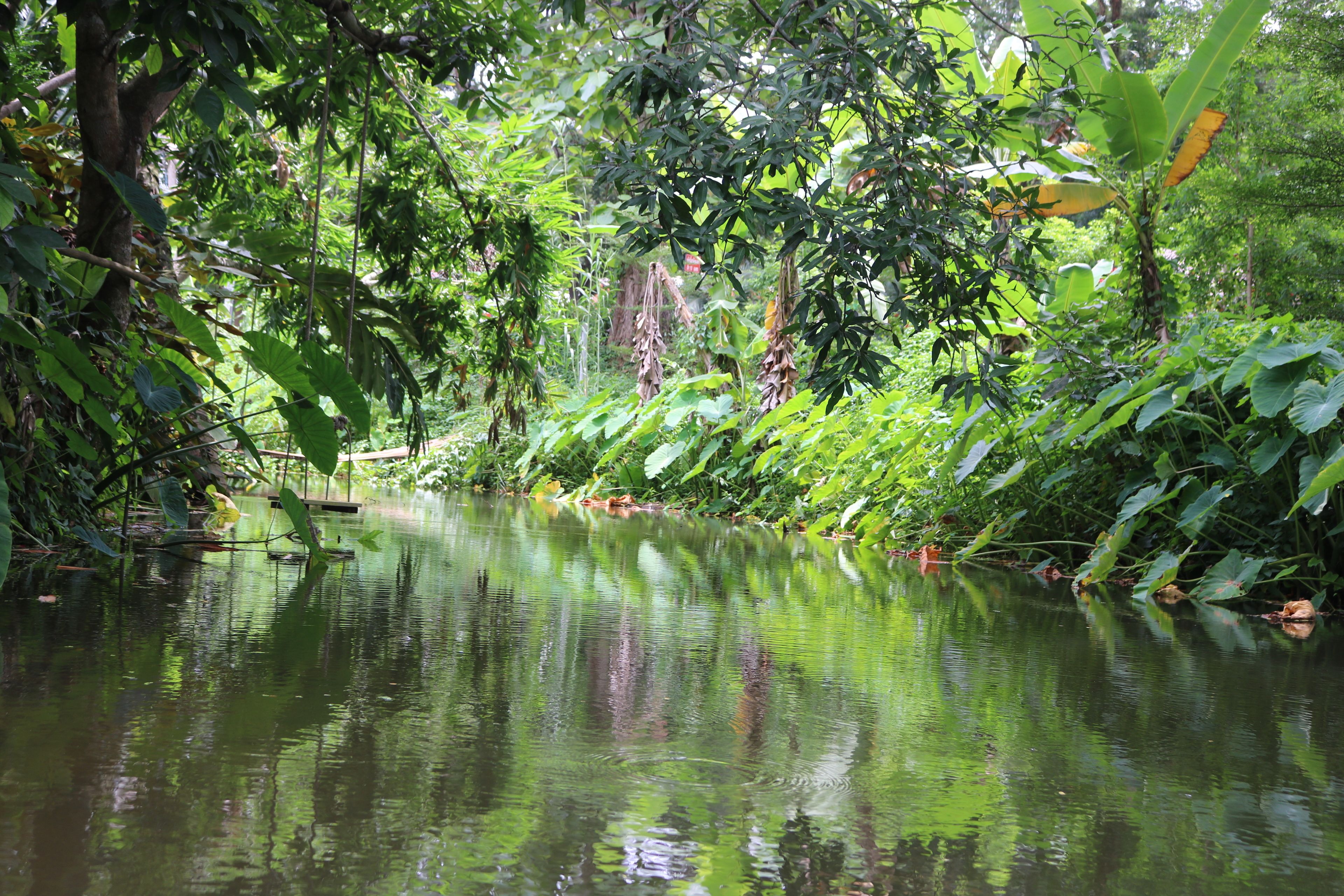 Facciata della struttura