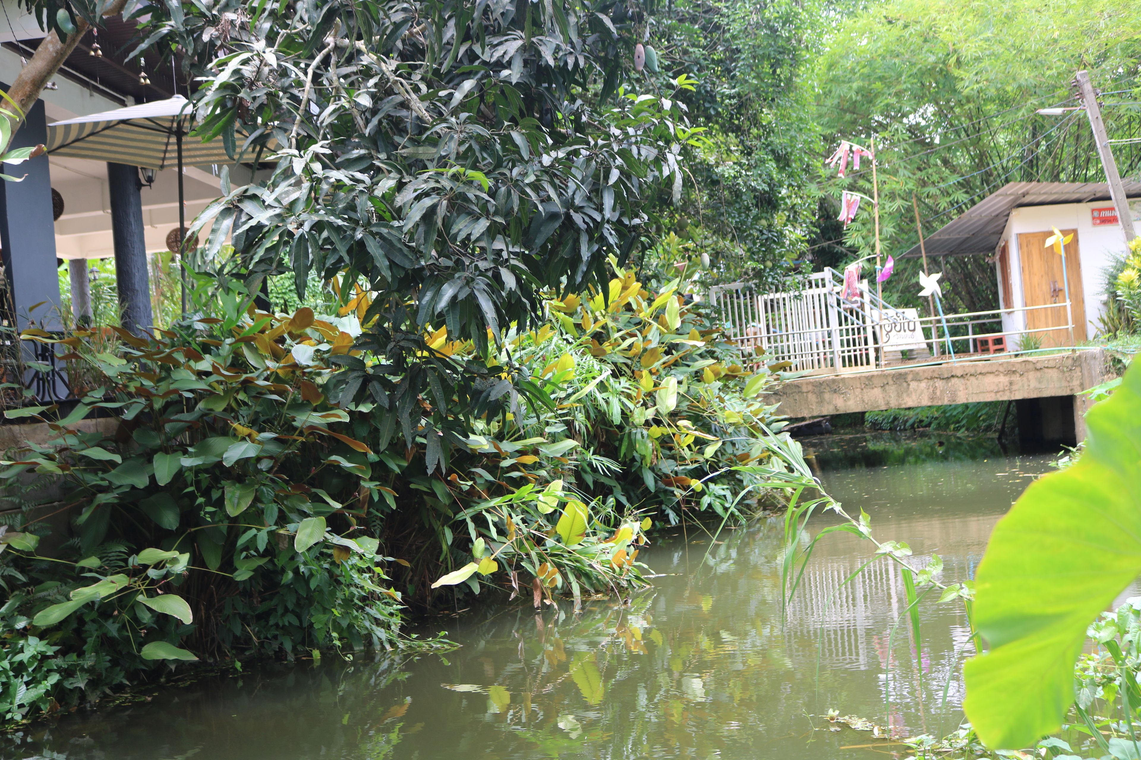 A bridge over a calm water body with dense foliage on either side.