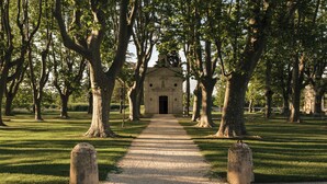 Een pad dat naar een gebouw leidt, omgeven door bomen.