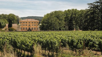 Viñedo con hileras de vides y un edificio grande con techo verde al fondo.