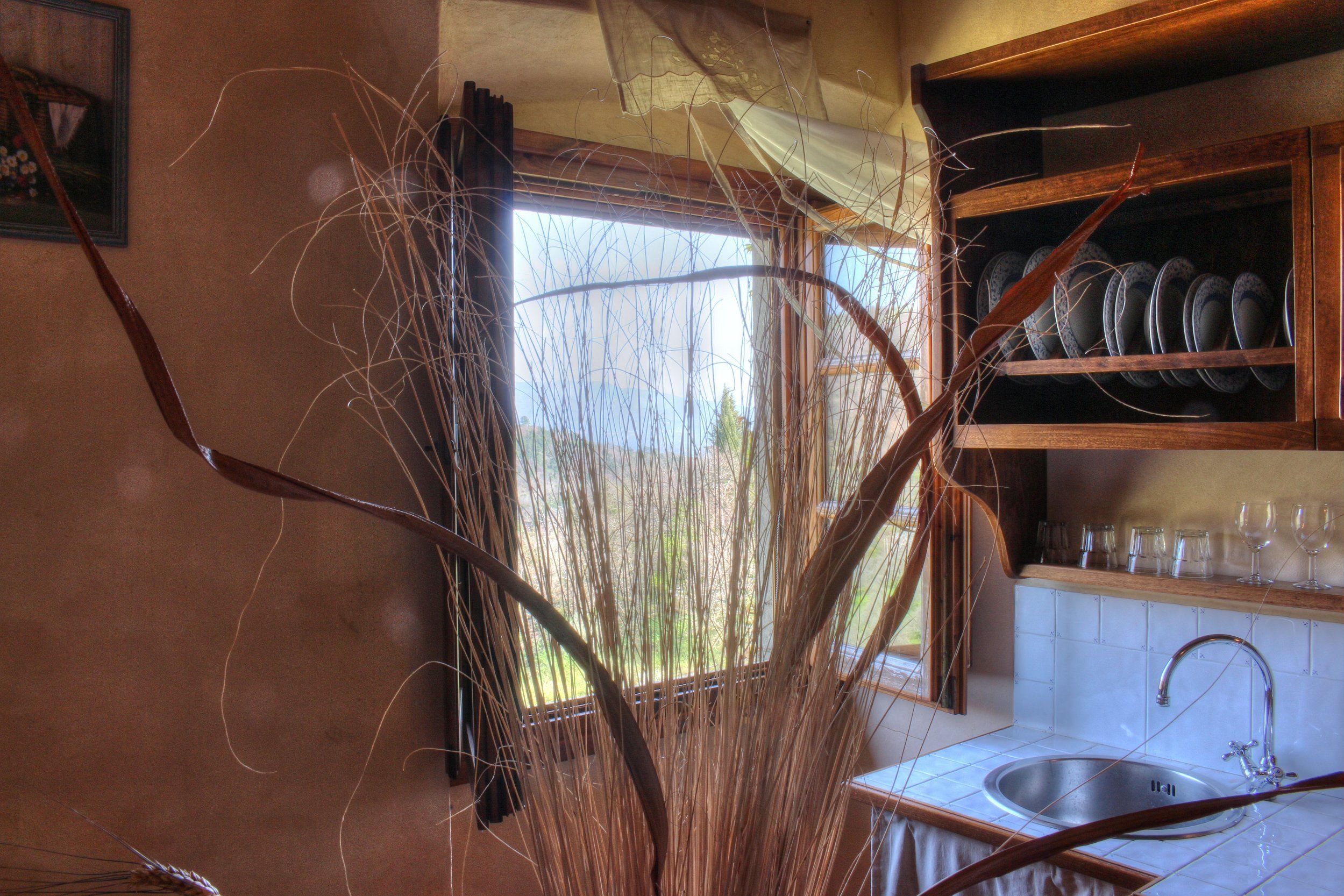 A kitchen with a window, a sink, and a shelf with plates and glasses.