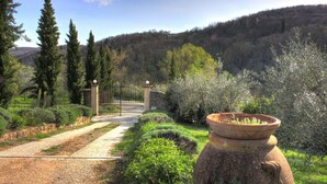 Un sendero de jardín que conduce a una entrada con puerta y vistas a un promontorio boscoso.