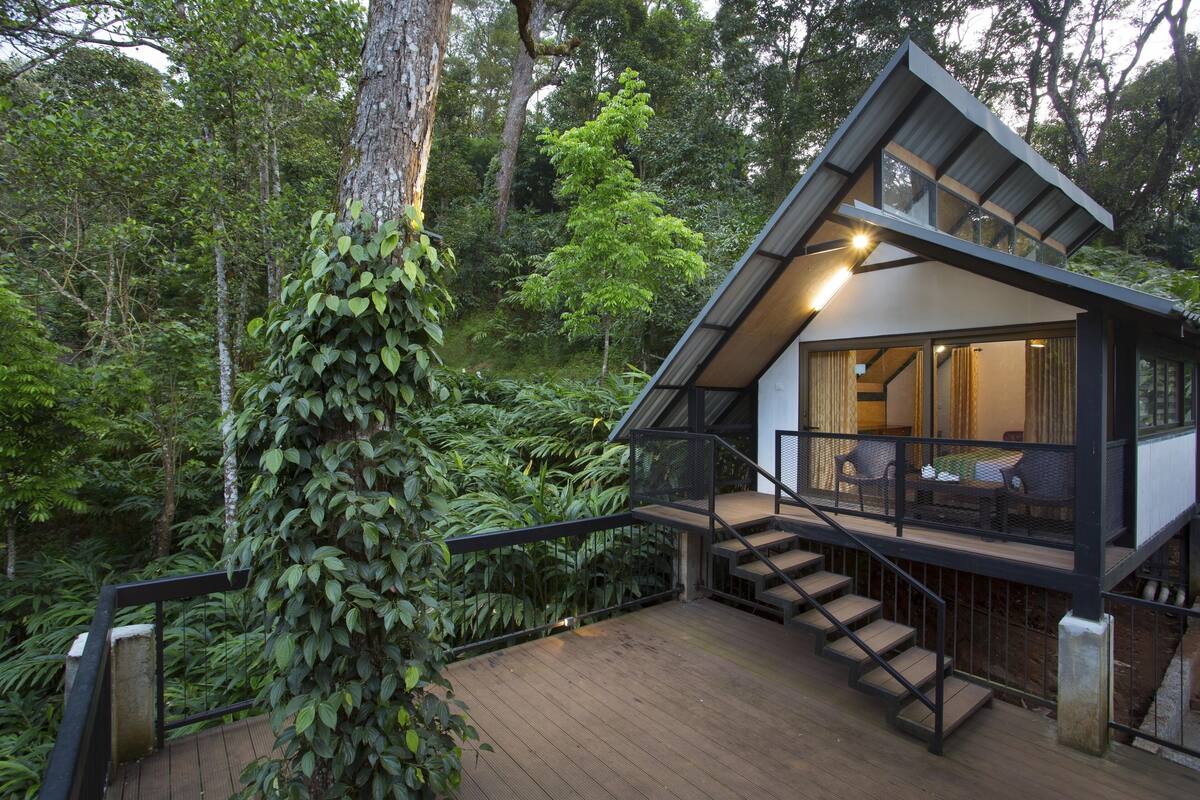 Casa sull'albero Premium | Wi-Fi gratuito
