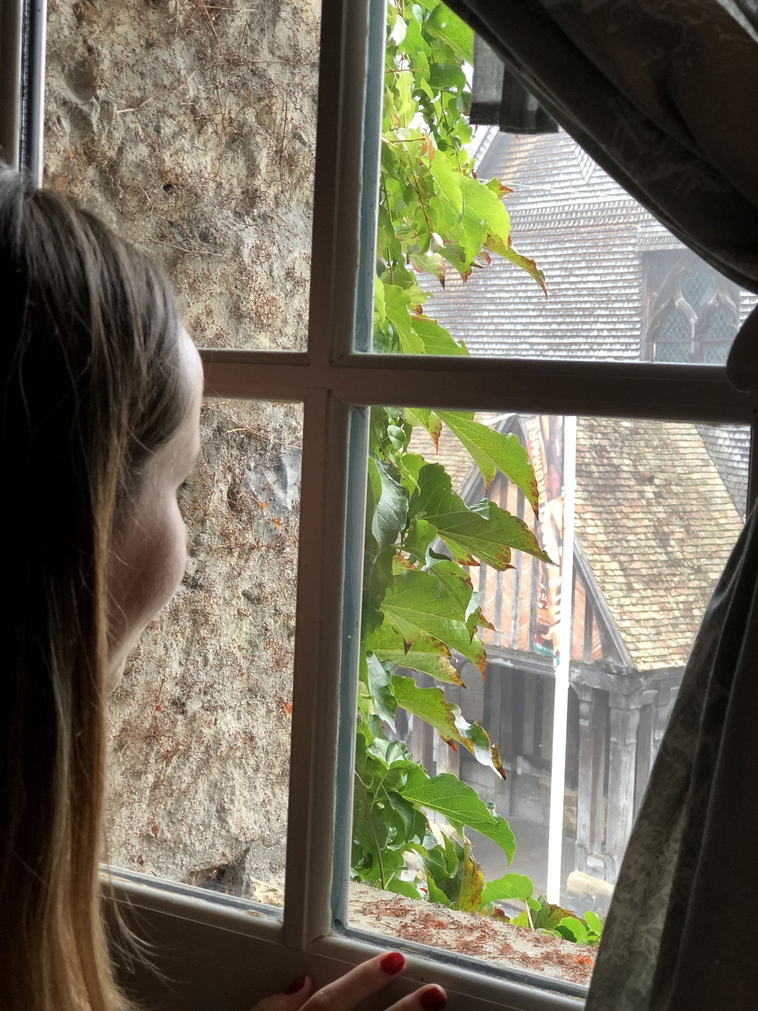 Une vue à travers une fenêtre donnant sur un mur de pierre et de la verdure à l’extérieur.