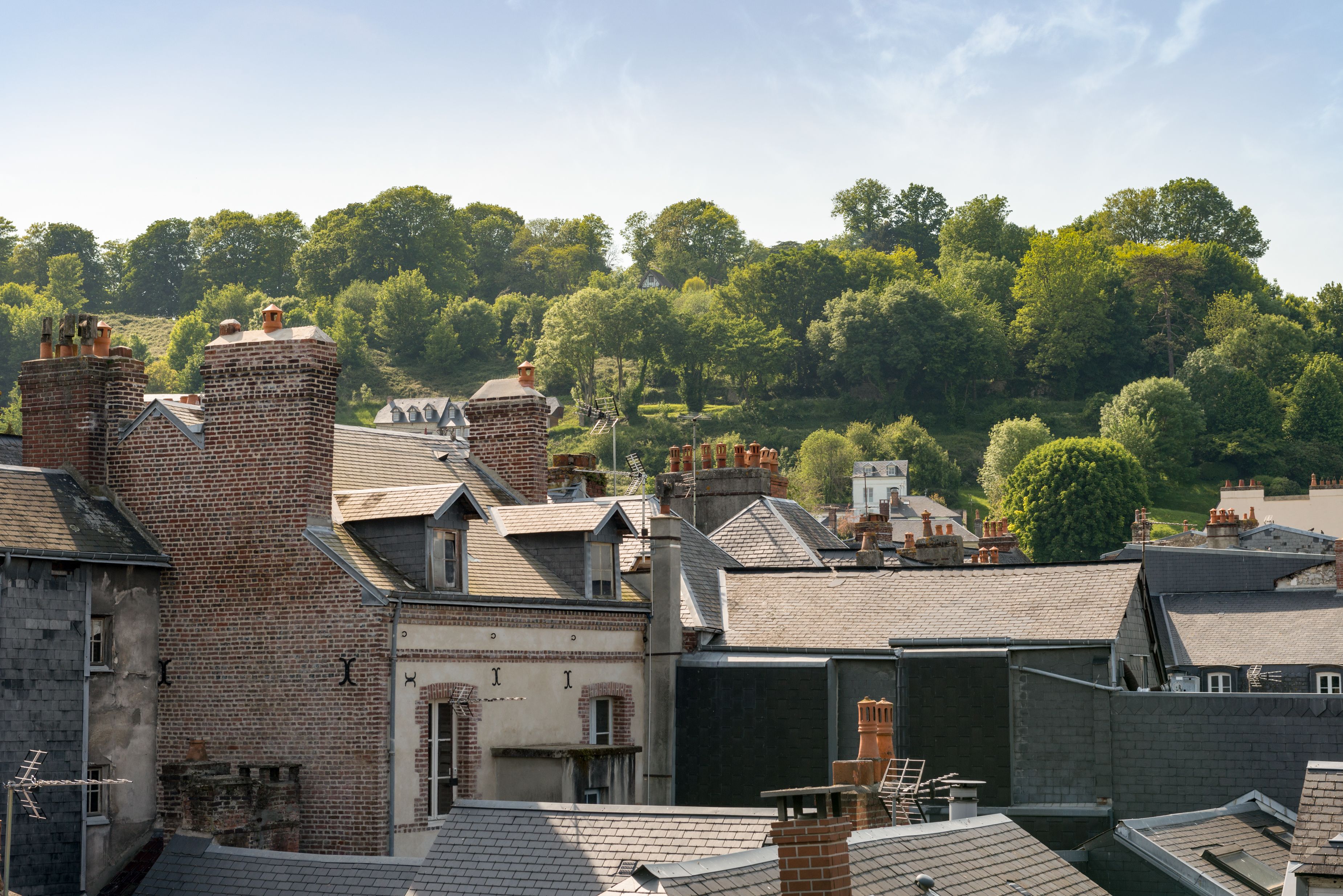 Un quartier résidentiel avec des maisons en briques, dont certaines sont dotées de cheminées, et un paysage verdoyant en toile de fond.
