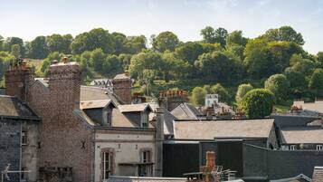 Un quartier résidentiel avec des maisons en briques, dont certaines sont dotées de cheminées, et un paysage verdoyant en toile de fond.