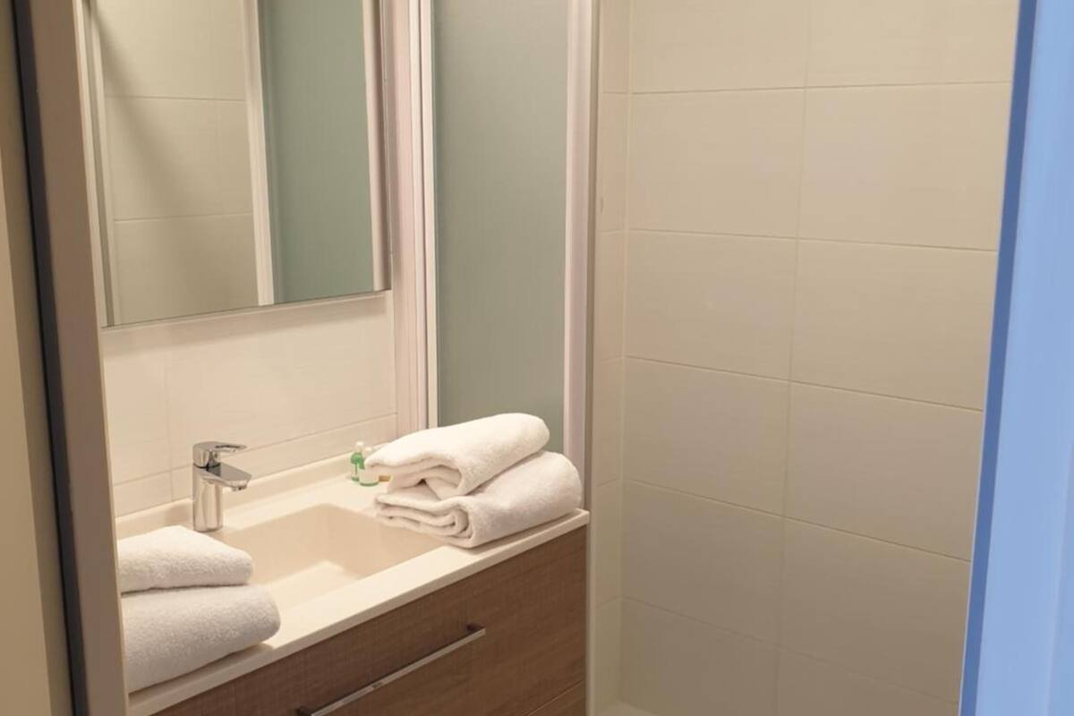 shower, free toiletries, hair dryer, towels