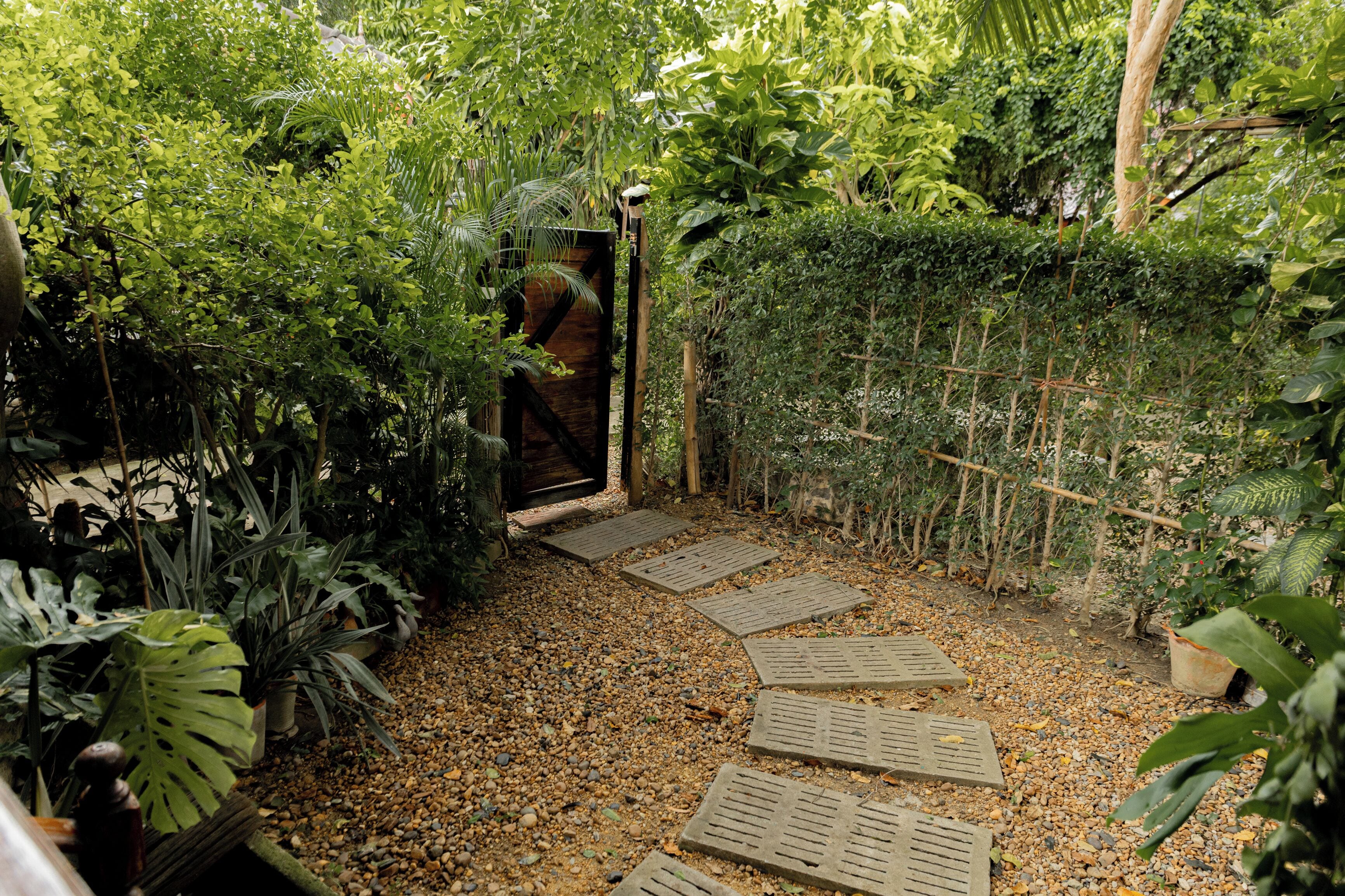 Garden view