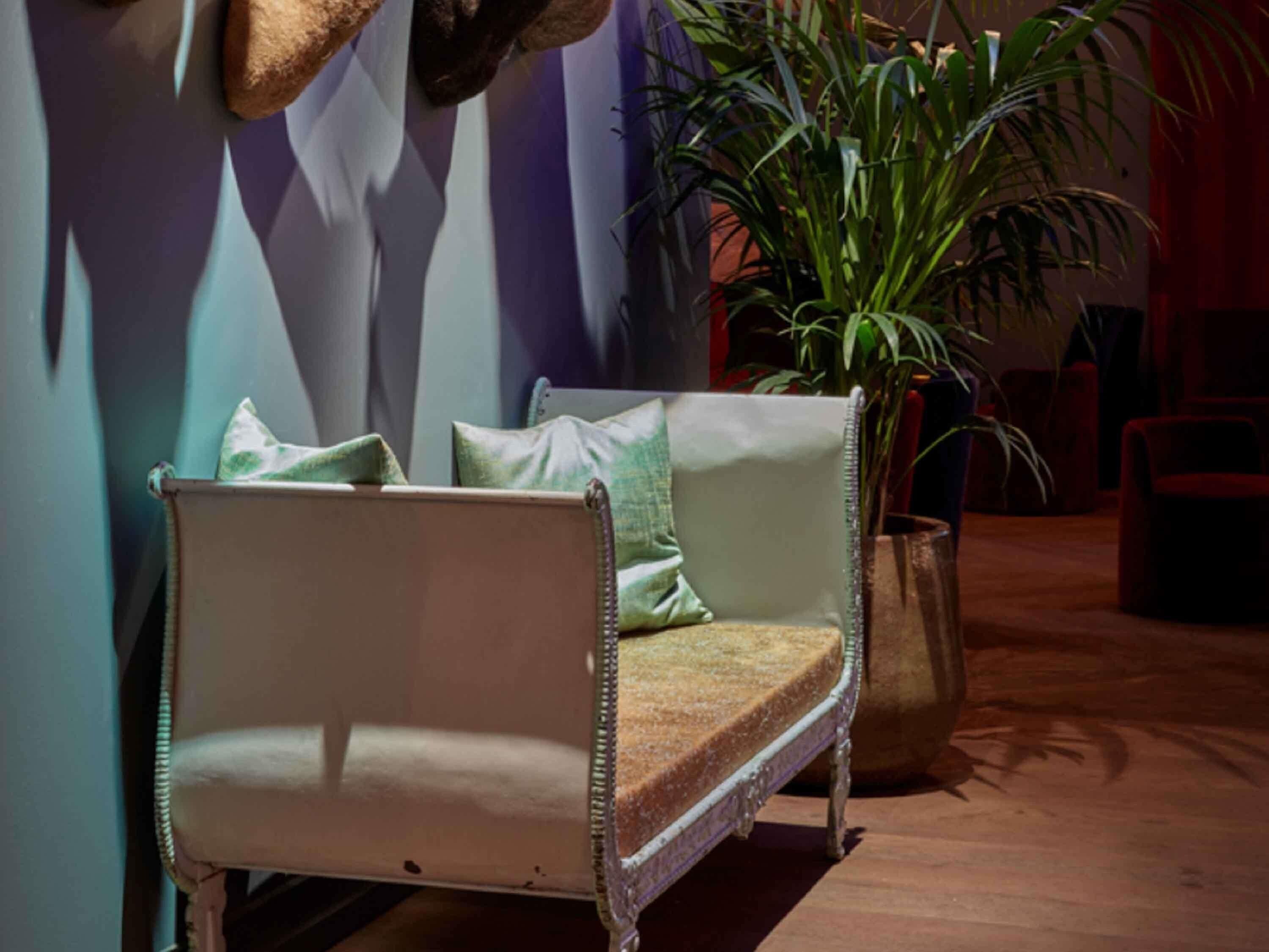 A room with a sofa, a potted plant, and a wall-mounted decorative item.